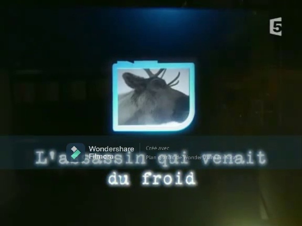 Les détectives de la nature - L'assassin qui venait du froid