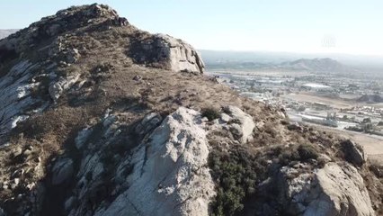 KALİFORNİYA - 13.000 yıllık Jurupa Meşesi