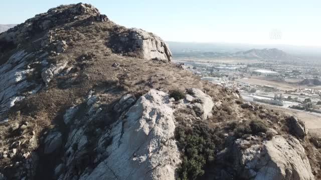 KALİFORNİYA - 13.000 yıllık Jurupa Meşesi