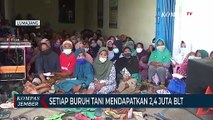 Buruh Tani Terdampak Pandemi Covid-19 Mendapat Bantuan Langsung Tunai dari DBHCHT