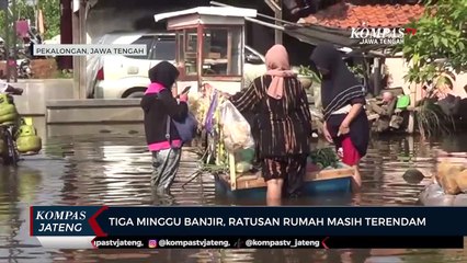 3 Minggu Banjir, Ratusan Rumah di Pekalongan Masih Terendam