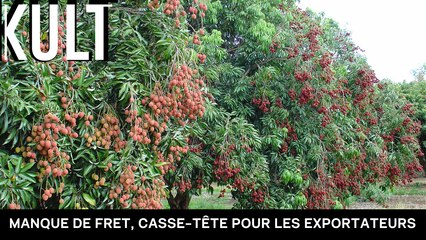 Manque de fret, casse-tête pour les exportateurs