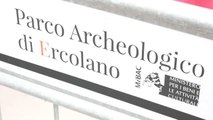 Antik Roma kenti Herculaneum'da Vezüv Yanardağı kurbanı bir erkeğe ait 2000 yıllık iskelet bulundu