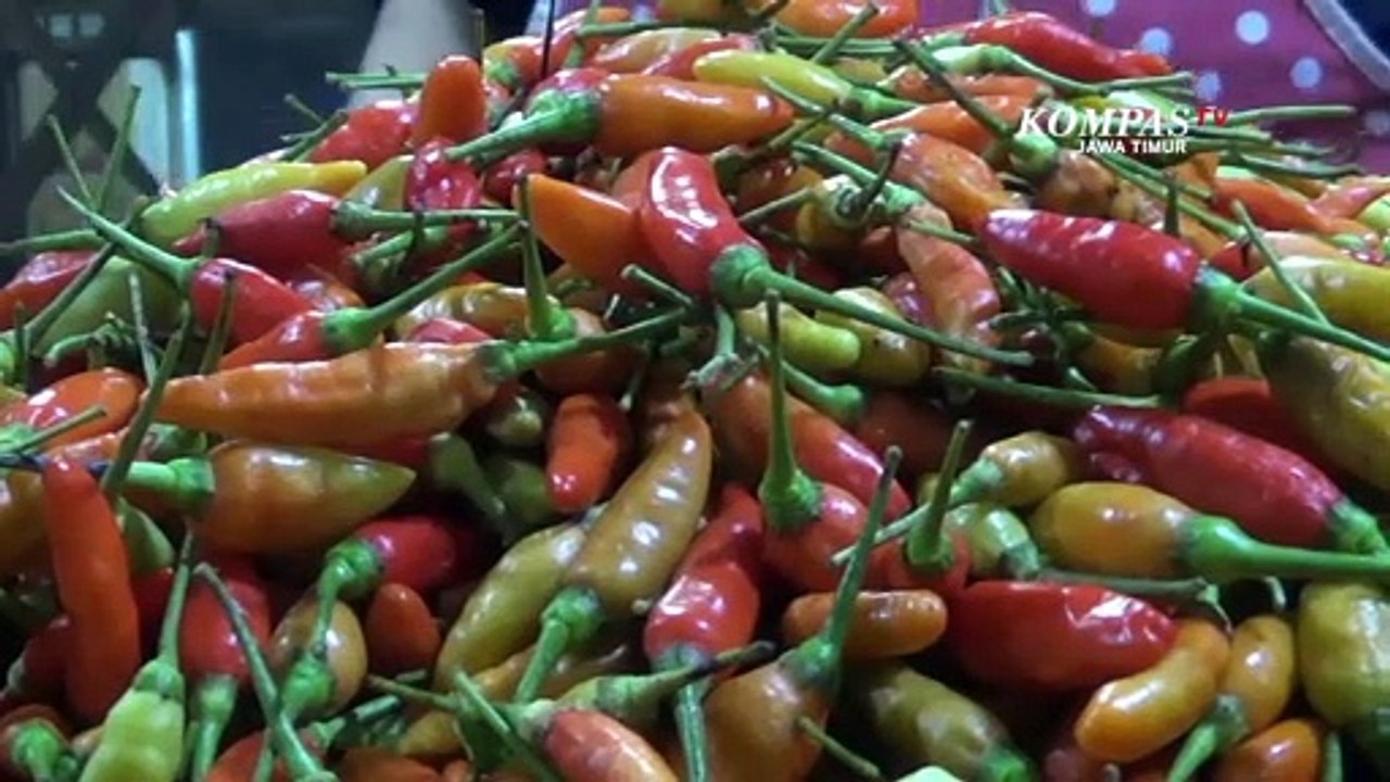 Cuaca Buruk Harga Cabai  Tembus 45 Ribu per Kilogram