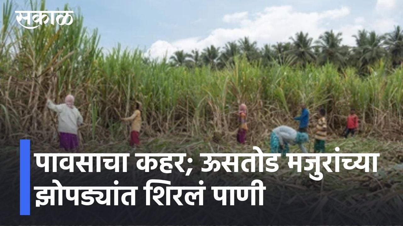 Karad l पावसाचा कहर; ऊसतोड मजुरांच्या झोपड्यांत शिरलं पाणी l Karad rains l Sakal