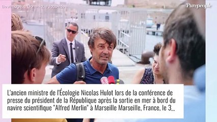 "Les jouets de ses enfants traînaient par terre..." : Nicolas Hulot accusé par la fille d'une ex-ministre, nouveaux détails