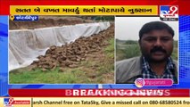 Brick manufacturers face huge loss due to unseasonal rainfall in Chhota Udaipur district_ Tv9News