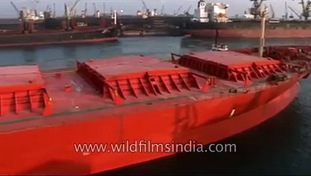 Cargo ships parked in Paradeep Port