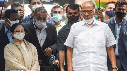 ‘Congress a weak link’: What Mamata Banerjee, Sharad Pawar discussed at meeting