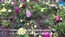 Roland Motte, jardinier : pensez au printemps, plantez des primevères