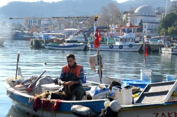 Fırtına balıkçıları vurdu, fiyatlar ikiye katlandı: Hamsi 35 lira