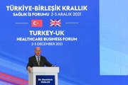 İngiltere'nin Ankara Büyükelçisi Dominick Chilcott, Türkiye-Birleşik Krallık Sağlık İş Forumu'nda konuştu