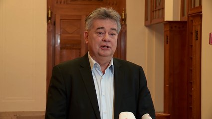 Statement von Werner Kogler zu Kurz-Rücktritt