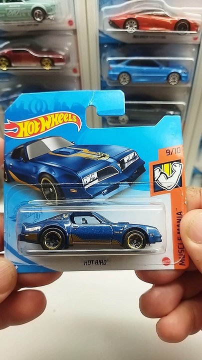 Hotwheels HOT BIRD