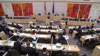 Dimite el canciller Alexander Schallenberg tras la retirada de Kurz