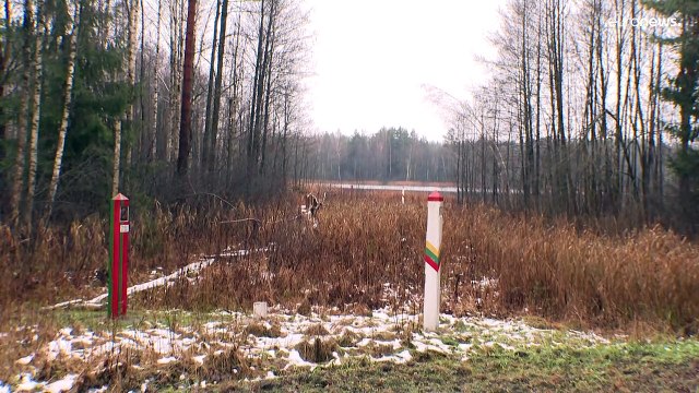 Litvánia: marad a rendkívüli állapot a belarusz határ mentén