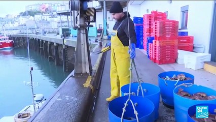 Guernsey issues 40 EU fishing licences amid France row