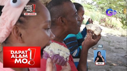 Dapat Alam Mo!: Inaning ube ng mga aeta sa Porac, Pampanga, paano mabibili nang direkta?