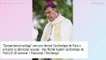 Monseigneur Michel Aupetit accusé d'avoir eu une liaison avec une femme : le pape réagit