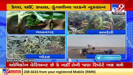 Heavy unseasonal rain in Gujarat leads to huge crop loss _ TV9News