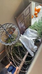 Real Life Griswold Family Christmas