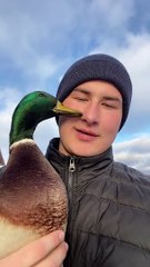 Farmer Gets Kisses From Fowl
