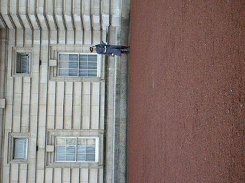 Garde de Buckingham Palace in London part 2