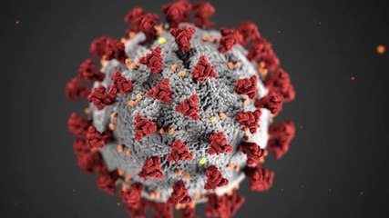 We have to take Omicron very seriously: Dr Ashish K Jha 