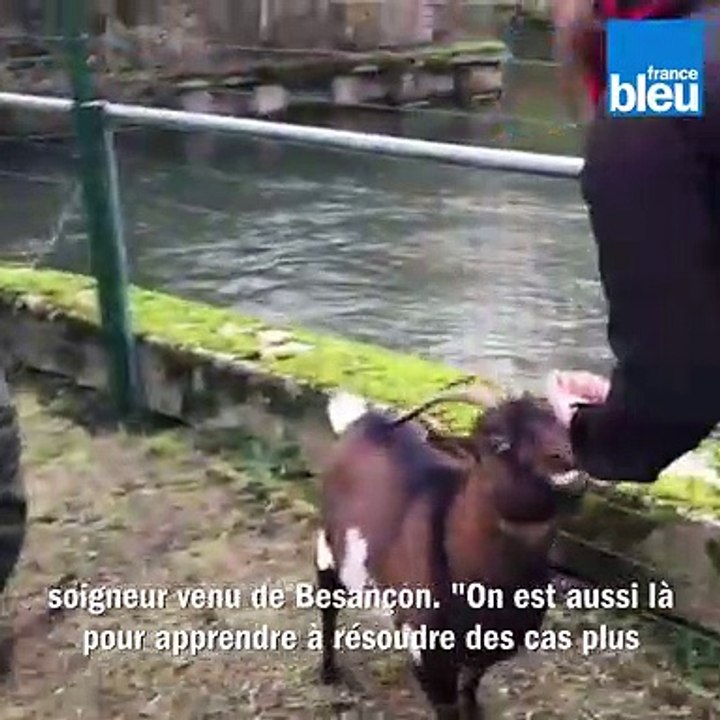 Au zoo d'Amiens, trois jours de formation pour les soigneurs