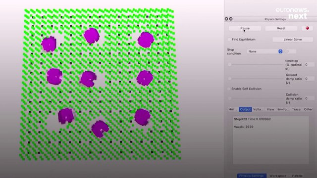 These scientists say they’ve created the world’s first 'living robots' that can reproduce