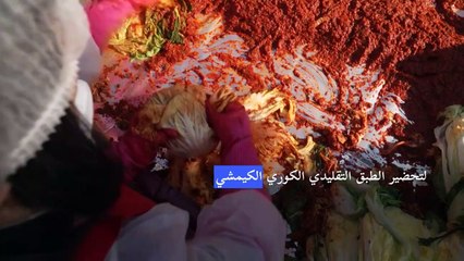 كوريا الجنوبية تعيد إحياء التقليد السنوي لإعداد طبق الكيمشي