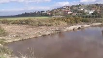 Büyük Menderes Nehri'nde toplu balık ölümleri görüldü