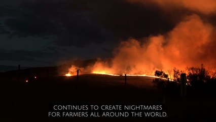 Why Are Food Prices Rising?