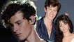 Shawn Mendes Drops Heartbreaking Breakup Song ‘It’ll Be Okay’ After Camila Cabello Split