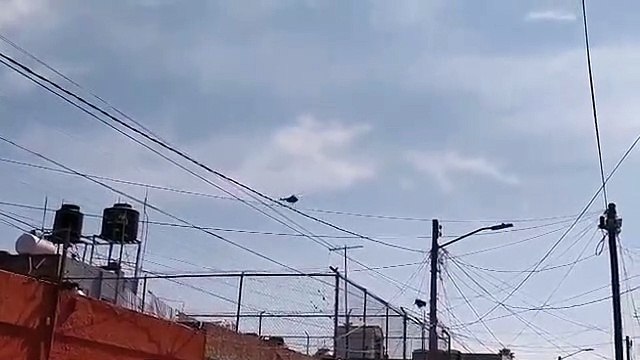 Operativo en la colonia Jardines Alcalde en Guadalajara