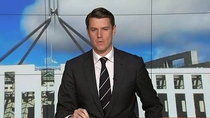 Liberal MP Alan Tudge stood aside following abuse claims