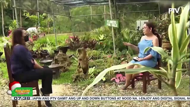 PAMANA | Kabi-kabilaang programa, inilunsad ng Duterte administration para makabangon ang sektor ng turismo sa Bohol