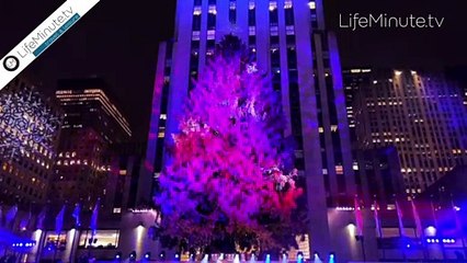 The Rockefeller Center Christmas Tree Lighting Kicks Off the Holiday Season in NYC