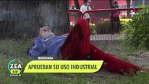 La SCJN aprueba el uso industrial de la marihuana