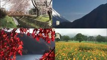 （たおやかインターネット放送)日本の風景世界の宝庫瀬戸内の冬