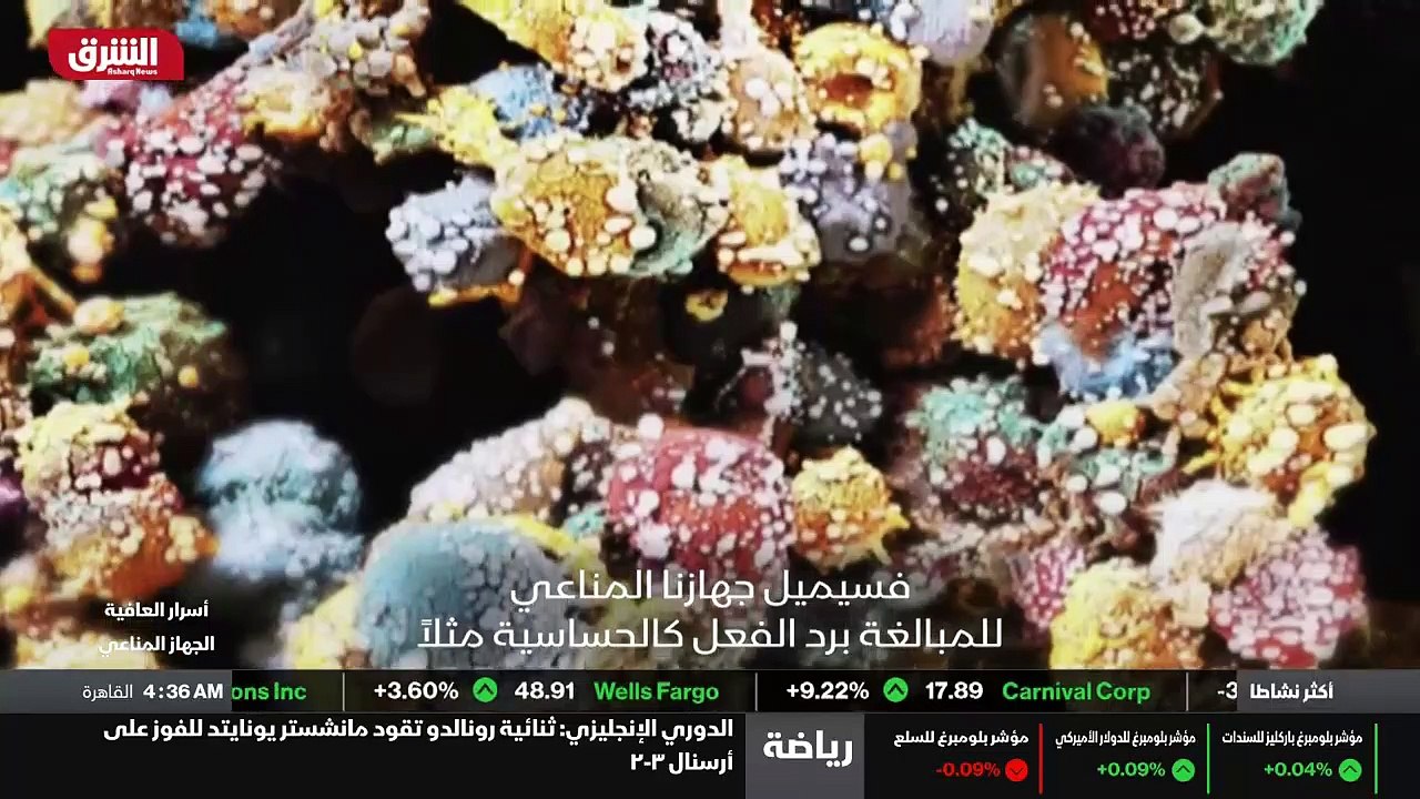 ...تحتاج الى هذه الاحياء الدقيقة ....