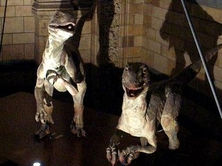 Dinosaurus Museum natural history in London