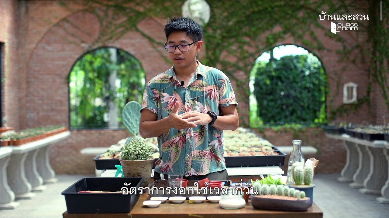 ปลูกเลี้ยงแคคตัสและไม้อวบน้ำแบบมืออาชีพ EP2