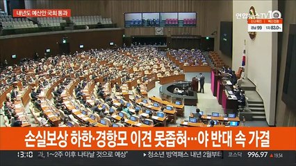 下载视频: 607.7조 '슈퍼예산' 국회 본회의 통과…자영업자 지원 확대