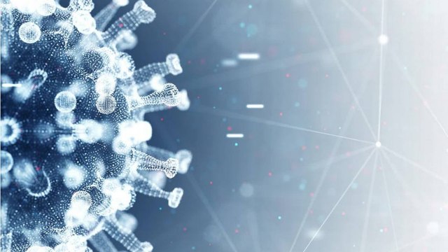 ಇಡೀ ದೇಶದಲ್ಲಿ ಒಮಿಕ್ರೋನ್ ಪತ್ತೆಯಾಗಿದ್ದು ಕರ್ನಾಟಕದಲ್ಲಿ, ತುರ್ತು ಸಭೆ ಕರೆದ CM | Oneindia Kannada