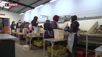 Filière ostréicole : « La pénurie de petites mains »