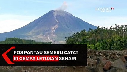 Pos Pantau Semeru Catat 61 Gempa Letusan Sehari