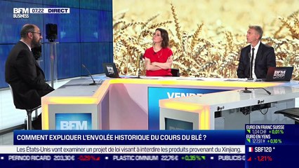 Gautier Le Molgat (Agritel) : Le blé remontre, soutenu par la demande mondiale - 03/12