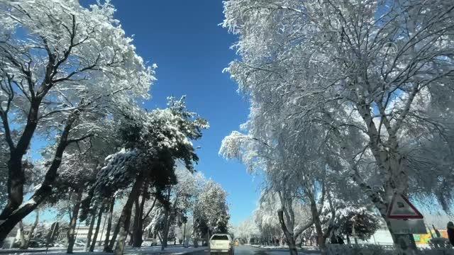 Doğu Anadolu'da dondurucu soğuklar etkili oluyor