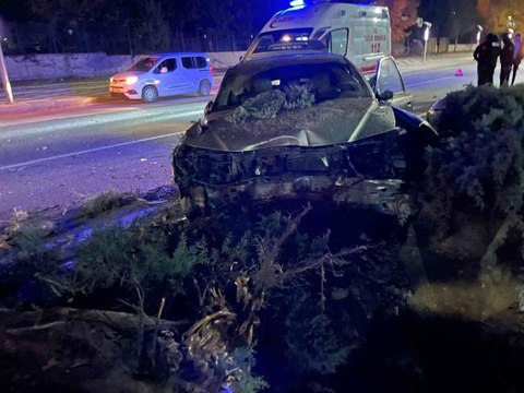 Köpeğe çarpmamak için direksiyonu kırdı, ağaca çarptı